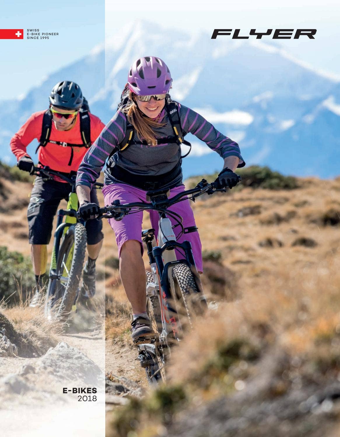 FLYER EBikeKatalog 2018 by Magazin "radgeber" Issuu