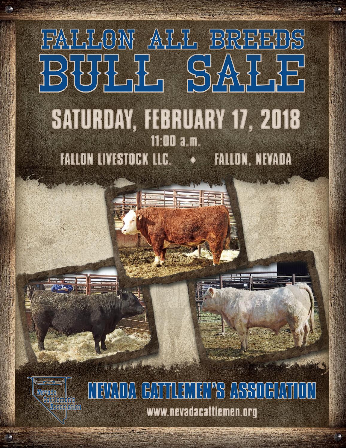 52nd Annual Fallon Bull Sale by JE Productions Graphic Design Issuu