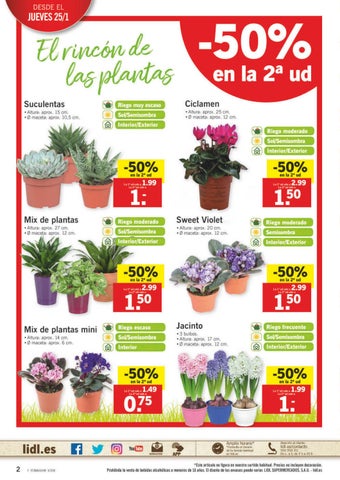 Ofertas Supermercados 家具目录 lidl tu compra perfecta 第 2 页