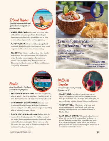 Caribbean Culture and Lifestyle - 期 1 - 2018 第 15 页