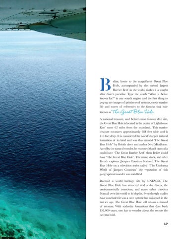 Caribbean Culture and Lifestyle - 期 1 - 2018 第 17 页