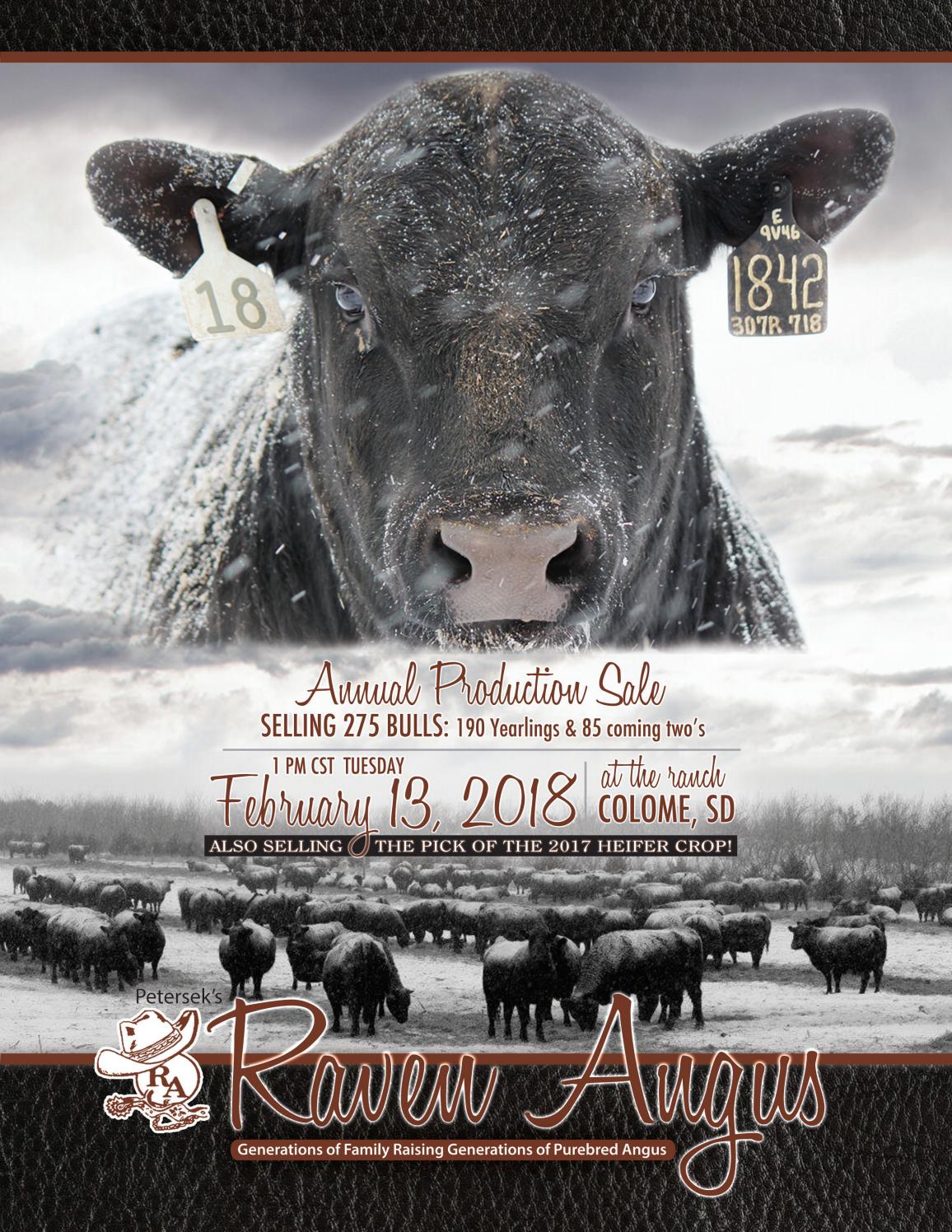 Raven catalog by RPI Promotions Issuu