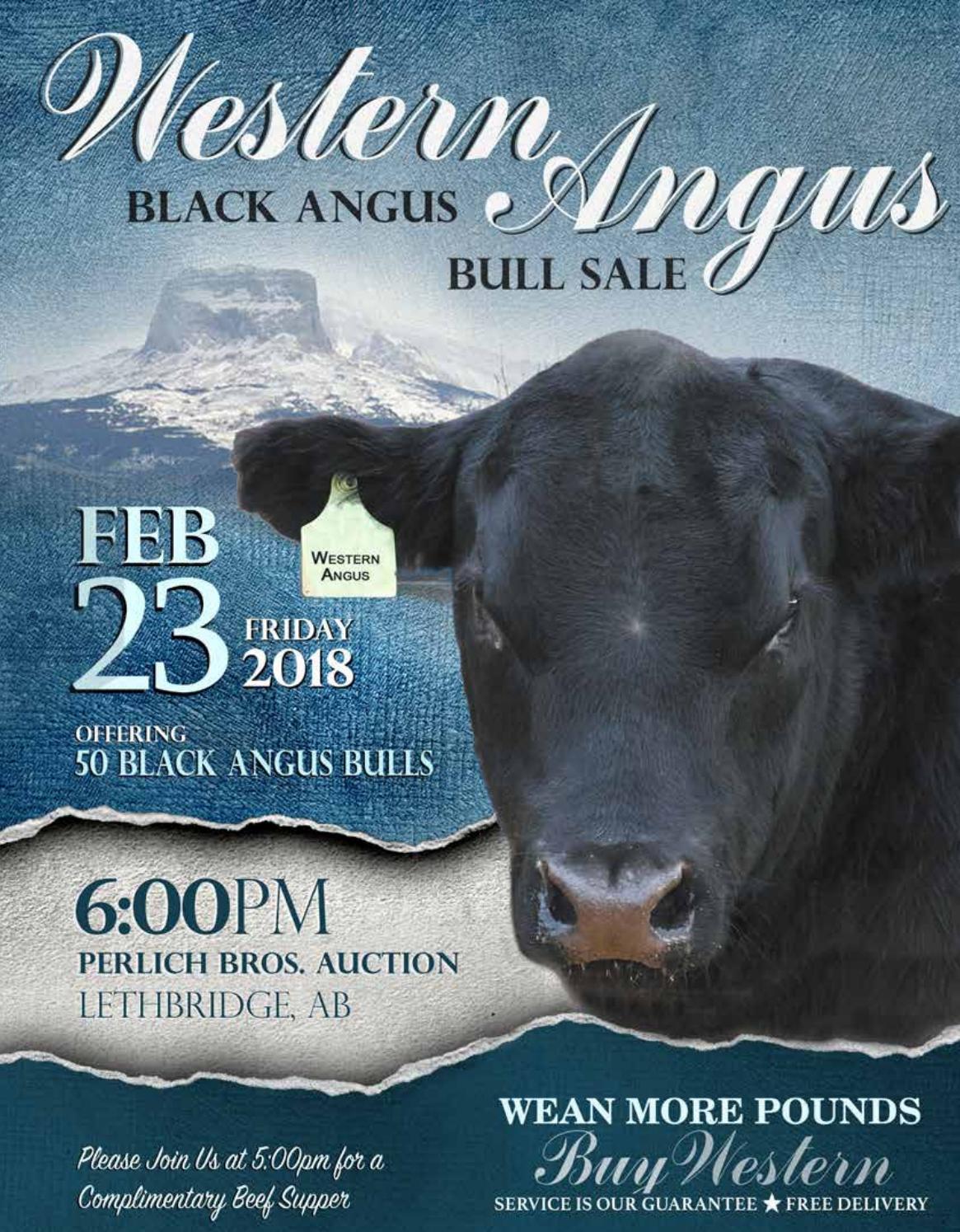 Western Angus 2018 Bull Sale by Coyote Publishing Ltd. Issuu