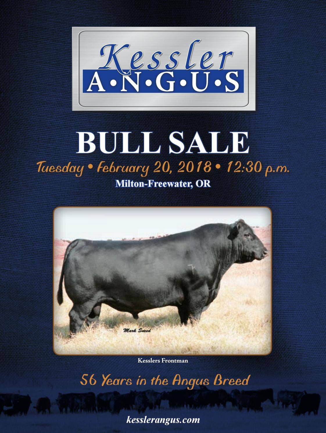 2018 Kessler Angus Bull Sale Catalog by Ranch House Designs Issuu