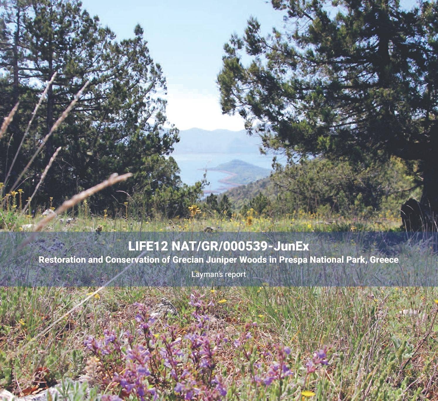 Restoration and Conservation of Grecian Juniper Woods in Prespa ...