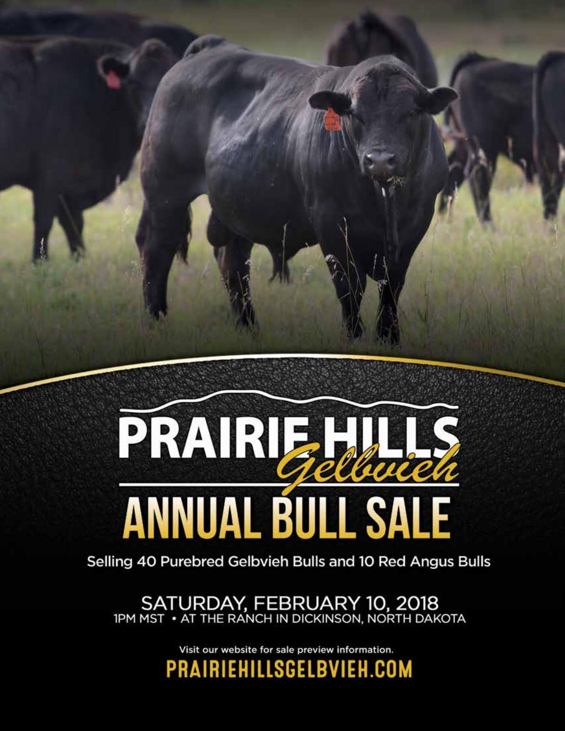 PHG Spring 2018 Sale Catalog by Ranch House Designs Issuu