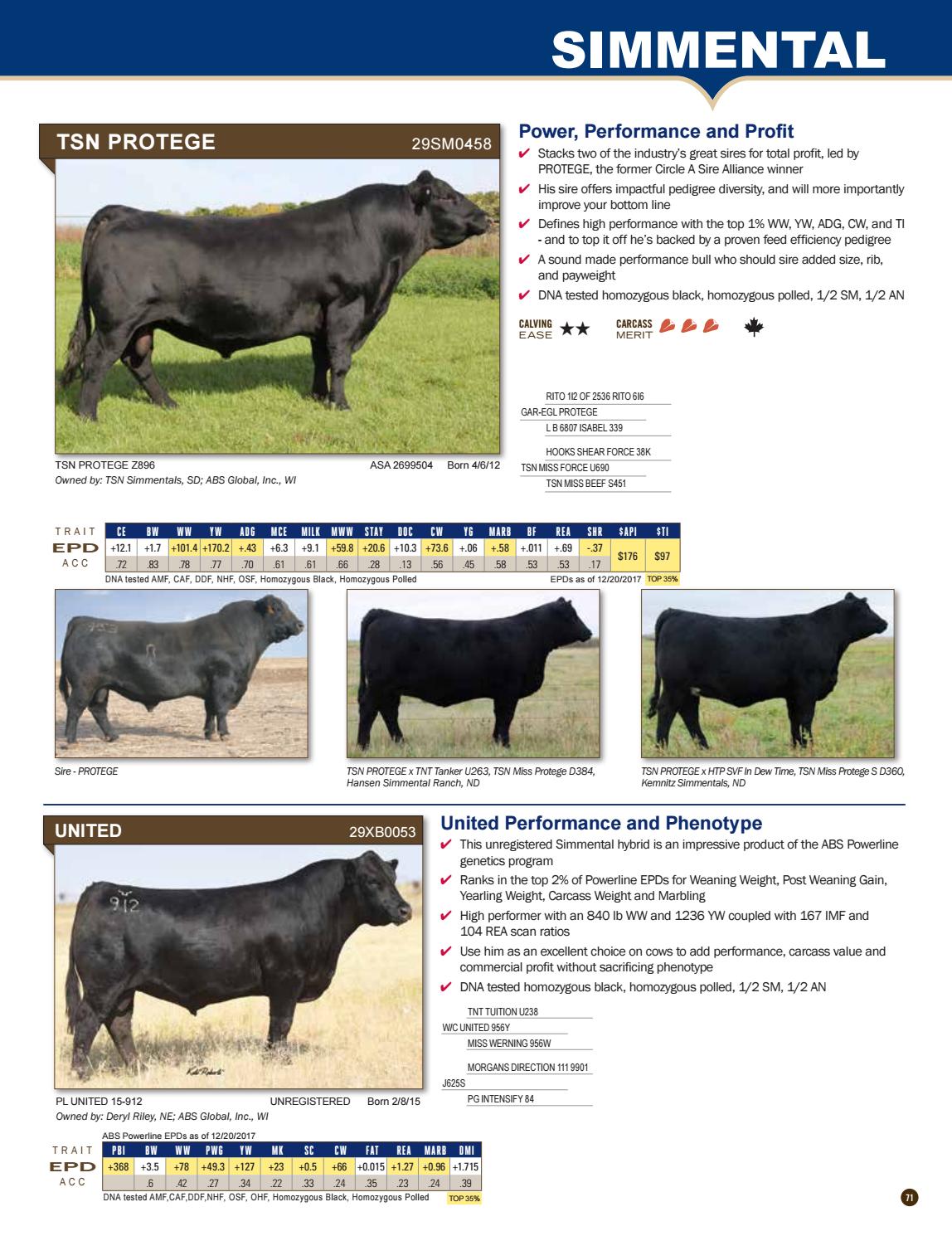 2018 Beef Sire Directory by ABS Global, Inc. Issuu