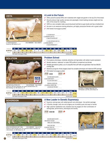 CH2218 ☘️ena. Issuu