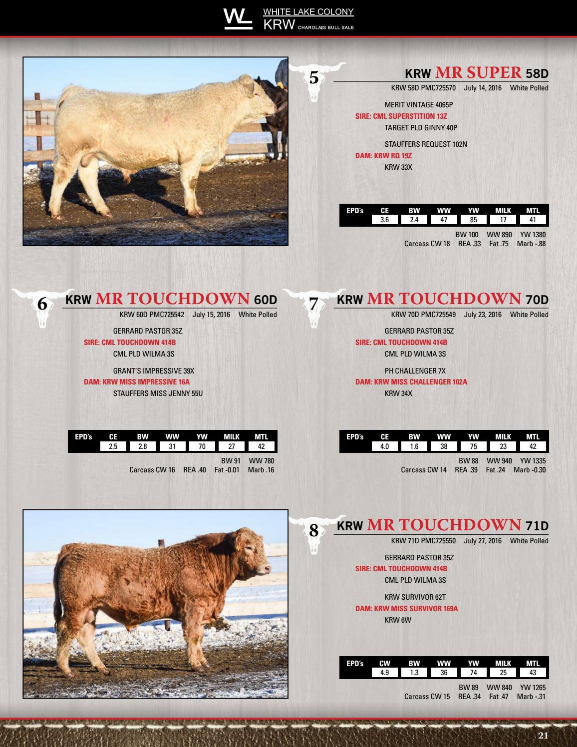 Three Choice Annual Bull Sale Catalogue2018 by DLMSCattlevids.ca Issuu