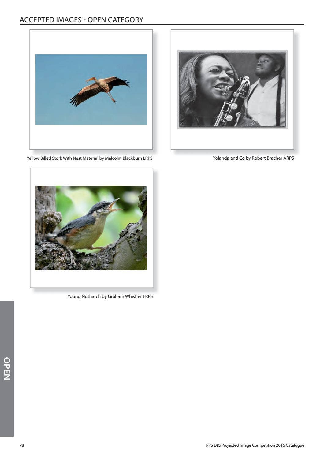 RPS DIG PDI Catalogue 2016 by Royal Photographic Society Issuu