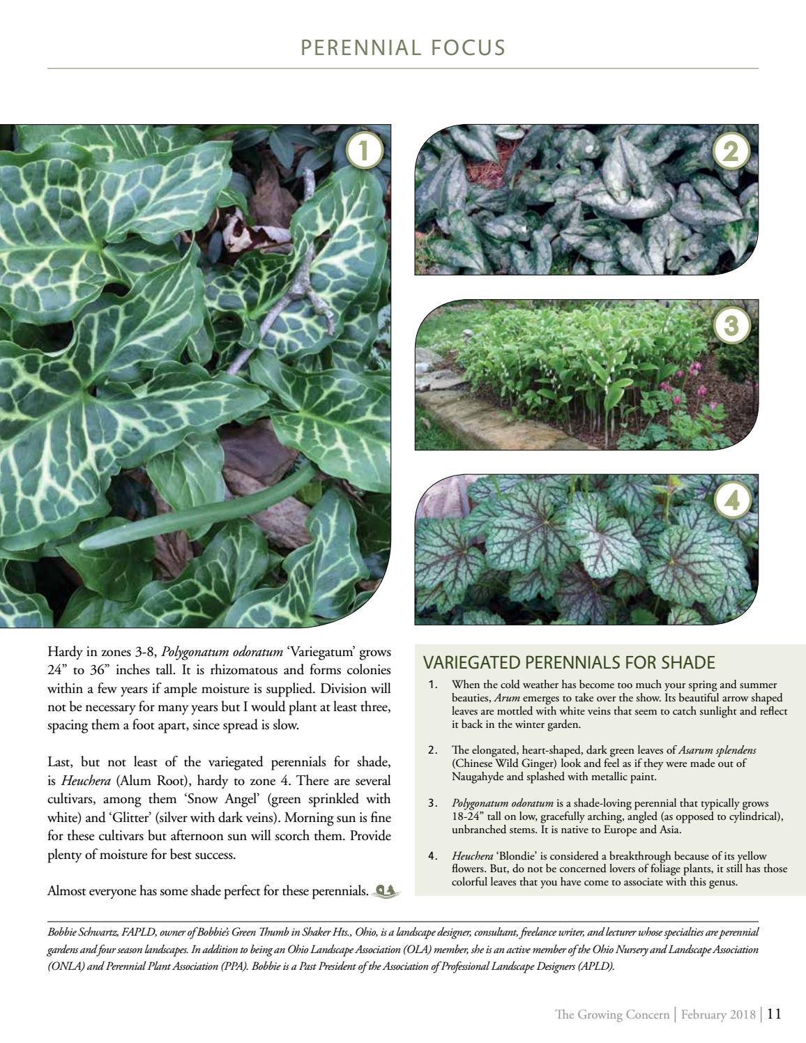 The Growing Concern February 2018 By Sandy Munley Issuu