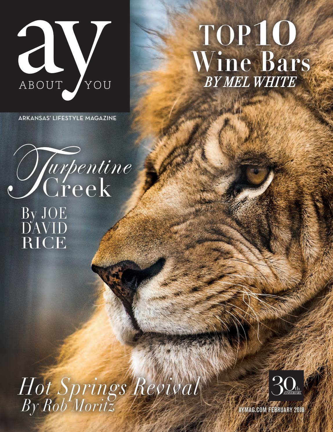 AY February 2018 By AY Magazine Issuu