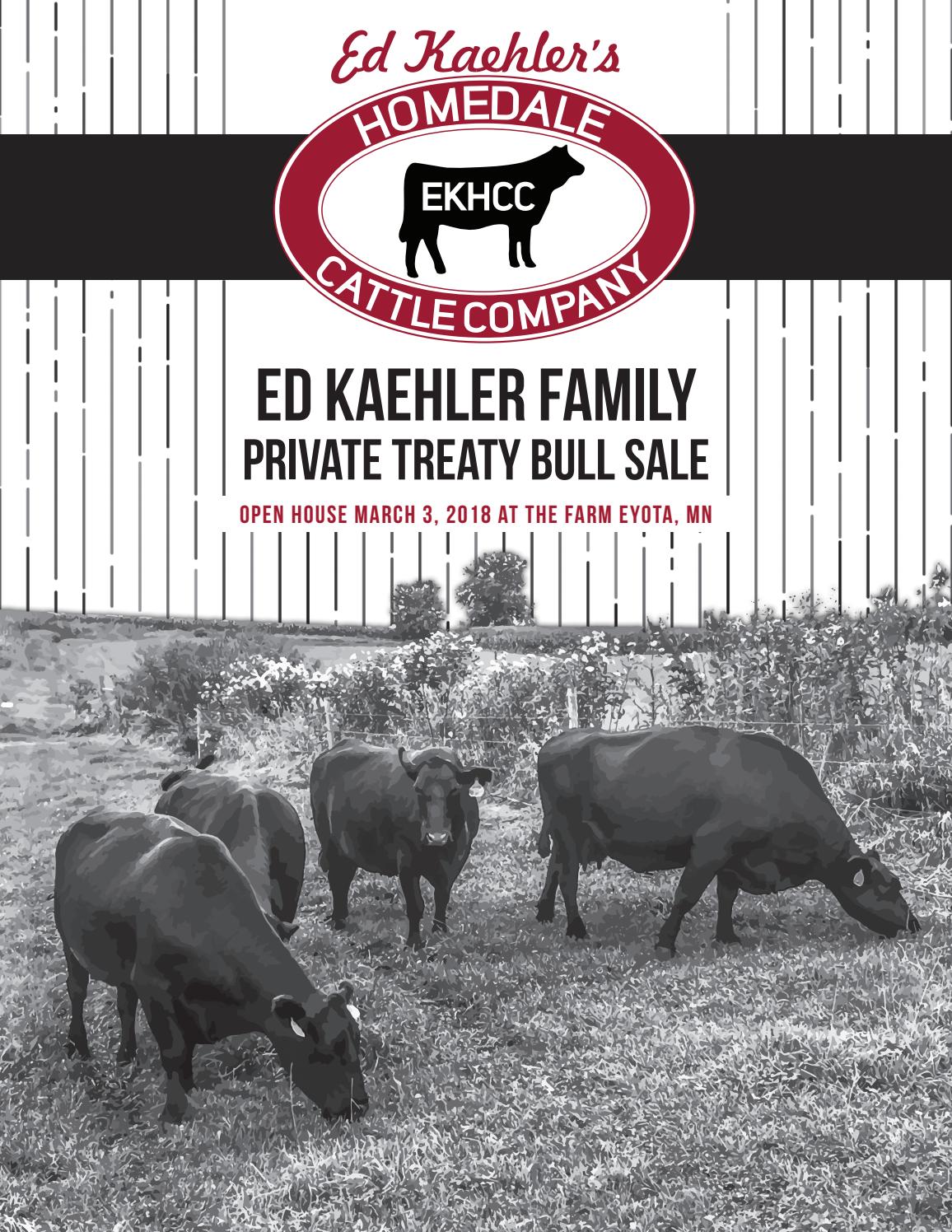 Kaehler's Homedale Cattle Company 2018 Private Treaty Bull Sale Catalog by LivestockDirect Issuu