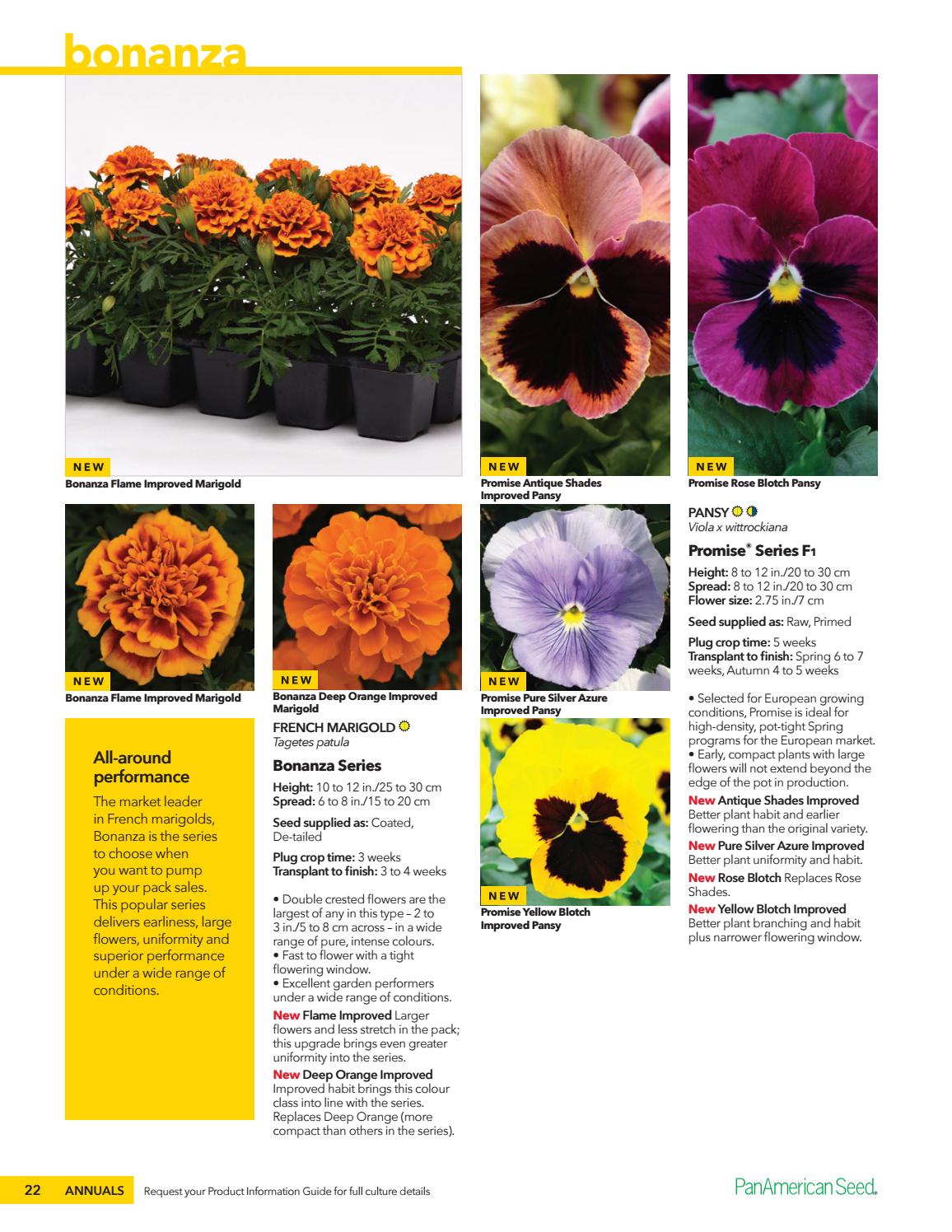 PanAmerican Seed 2019 New Varieties by PanAmerican Seed - Issuu