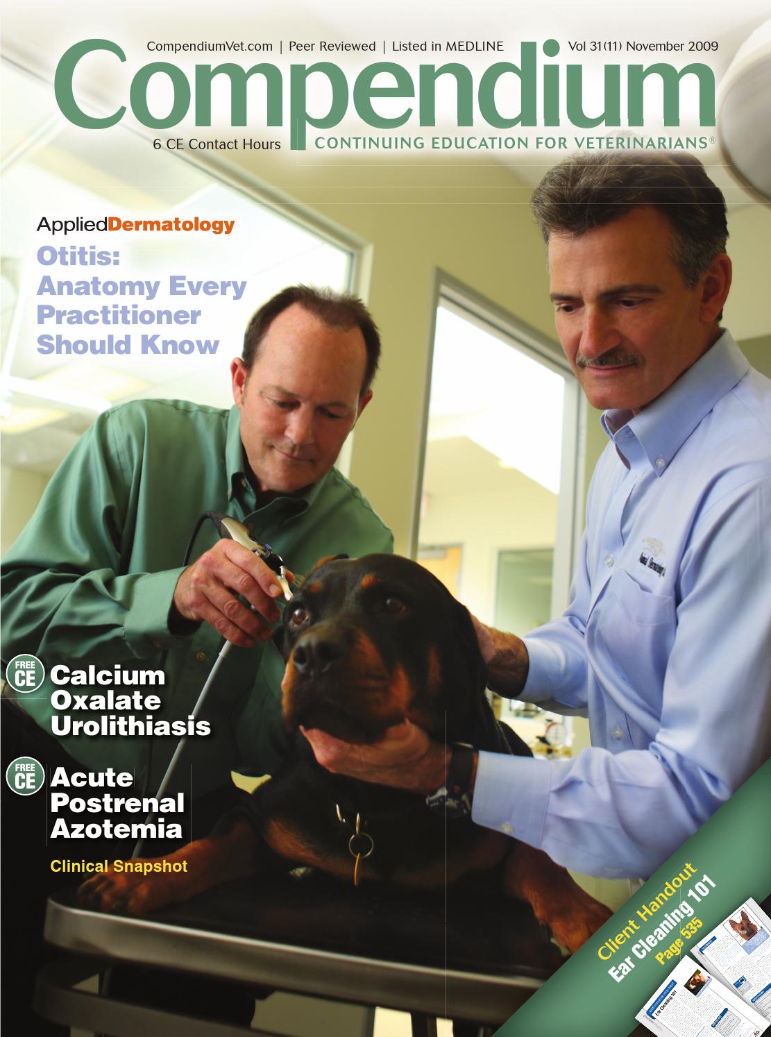 Compendium November 2009 By Davidpsu Issuu