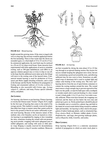 Page 283