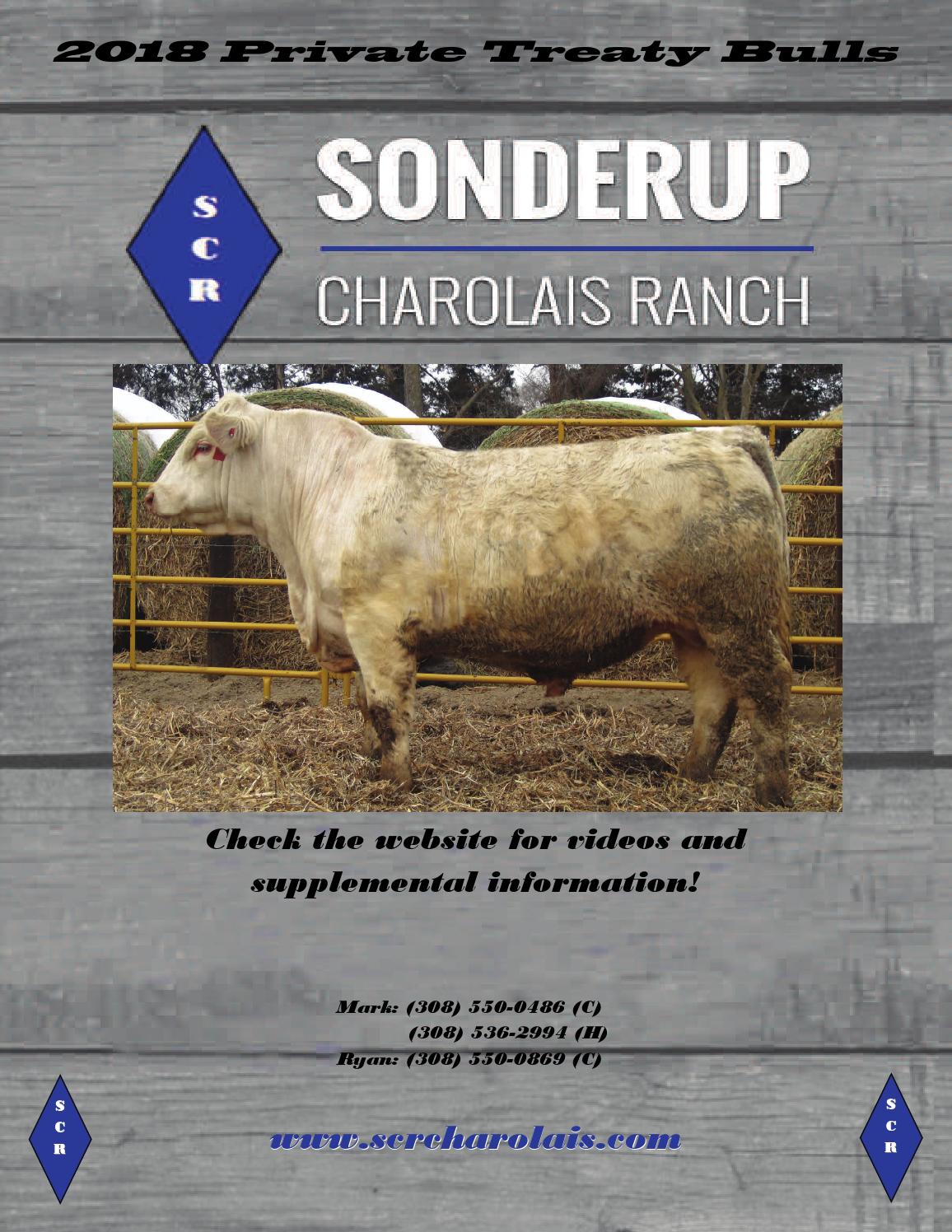 2018 Sonderup Charolais Ranch Catalog by EDJE Issuu