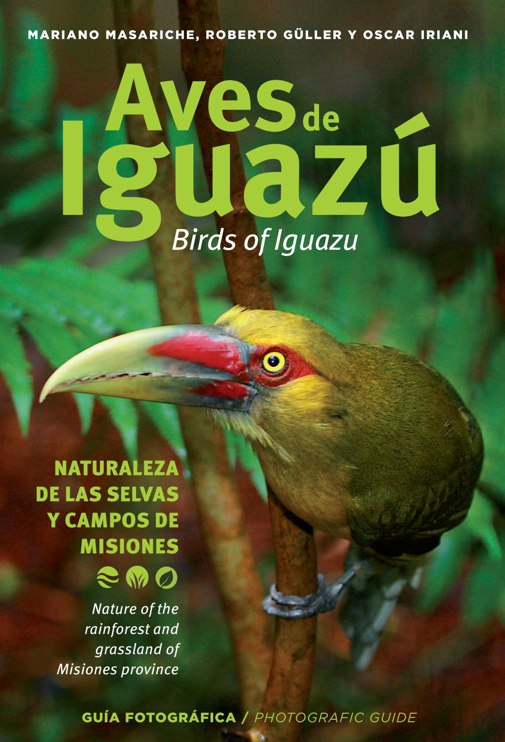 Voces de este río (Pajarito de Agua) (Spanish Edition)