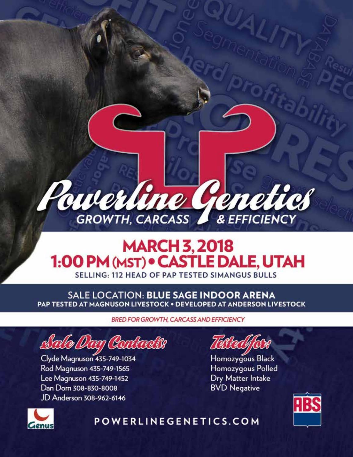 Powerline Utah Sale Catalog by Ranch House Designs Issuu