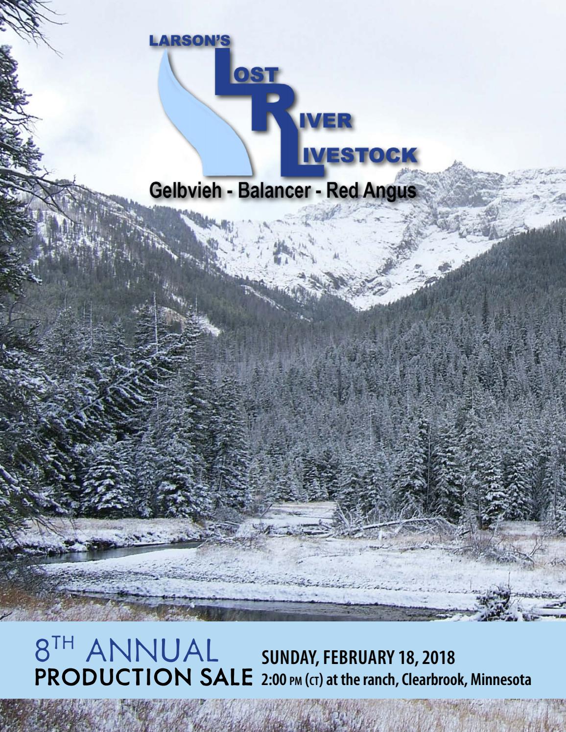 Larson's Lost River Livestock 8th Annual Production Sale by American