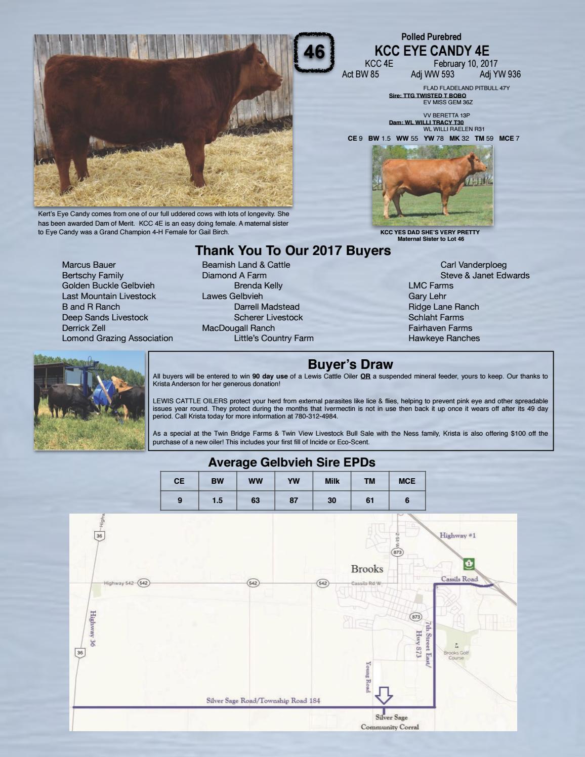 Twin Bridge Farms Twin View Livestock Bull Female Sale 2018 By