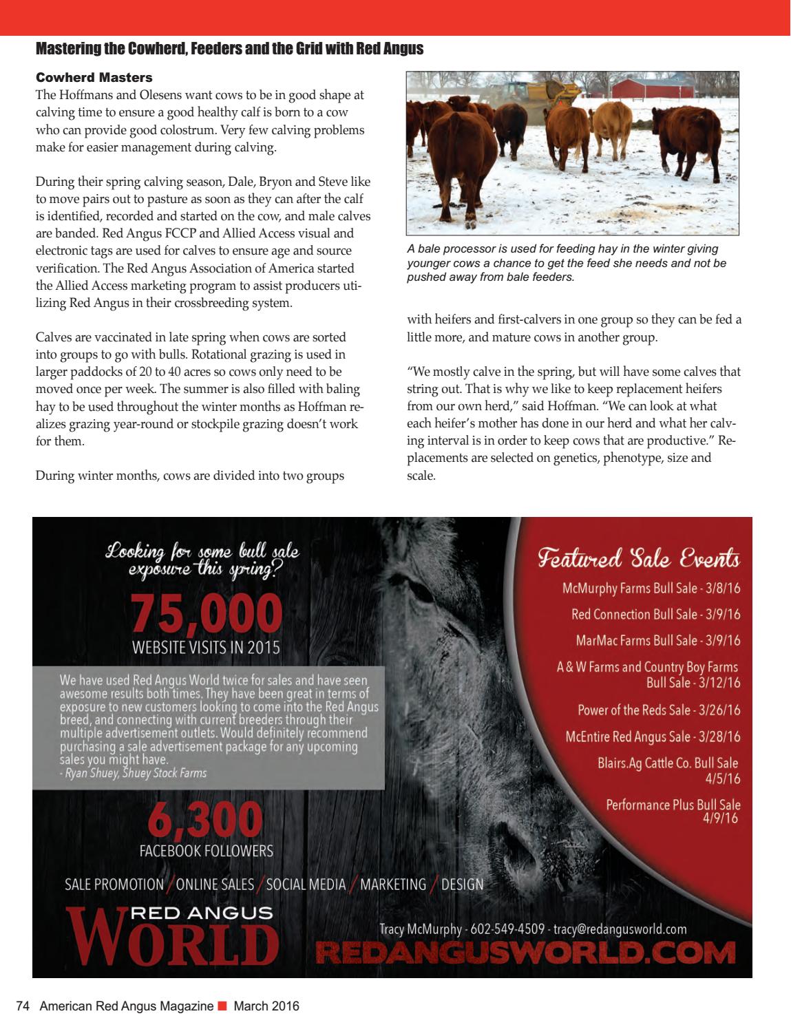 American Red Angus Magazine March 2016 By Red Angus Association