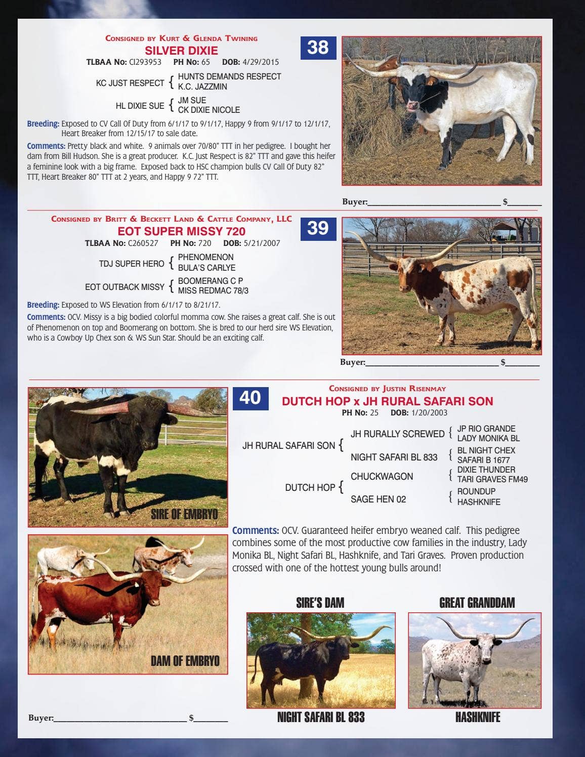 2018 Longhorn Opportunities Spotlight Sale Catalog by Texas Longhorn