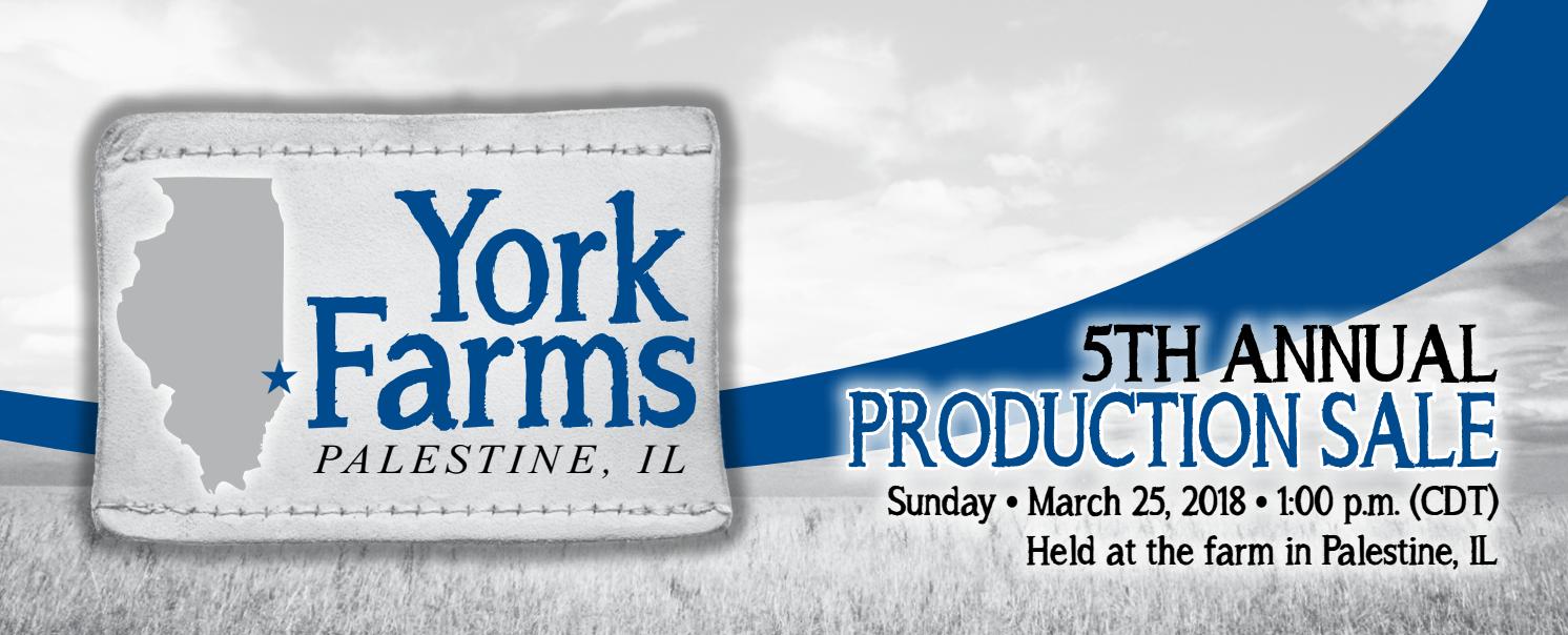 2018 York Farms Sale Catalog by Ranch House Designs Issuu
