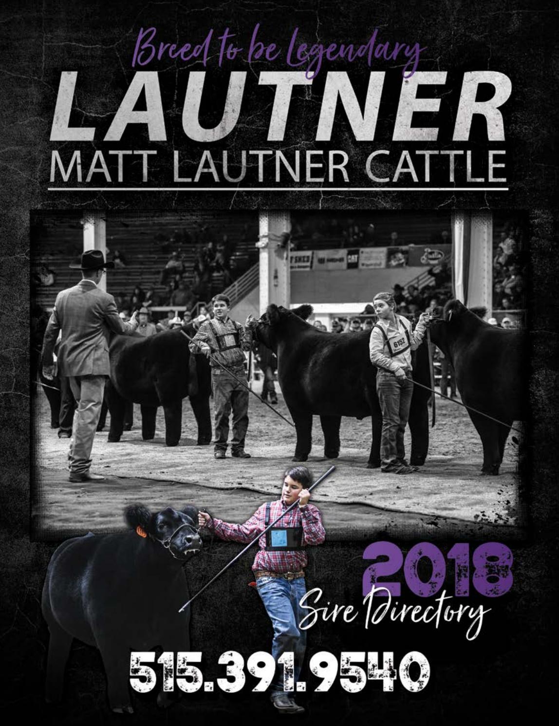 Matt Lautner Cattle 2018 Sire Directory by The Showtimes Magazine Issuu
