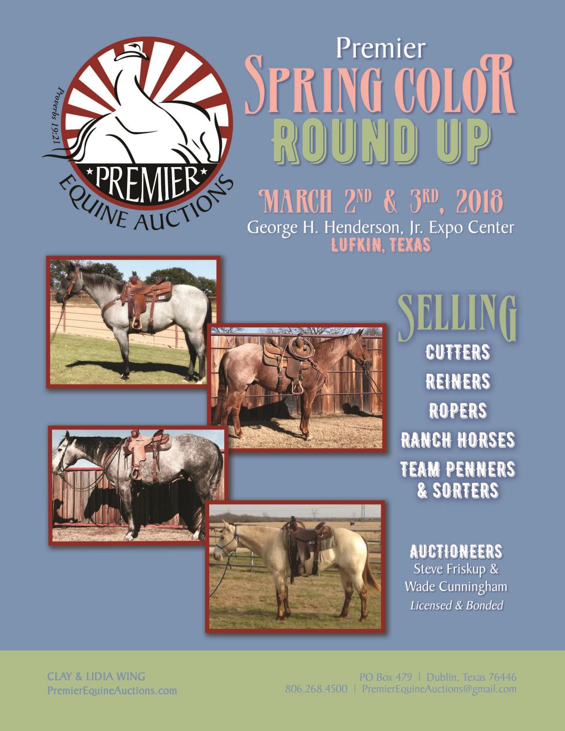 Premier Equine Auction by Big Sky Design Issuu