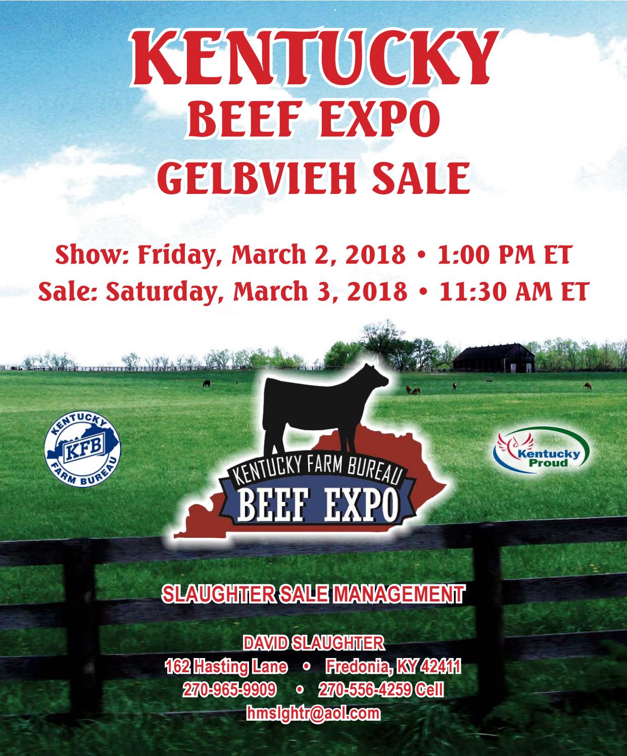 Kentucky Beef Expo Gelbvieh Sale by American Gelbvieh Association Issuu