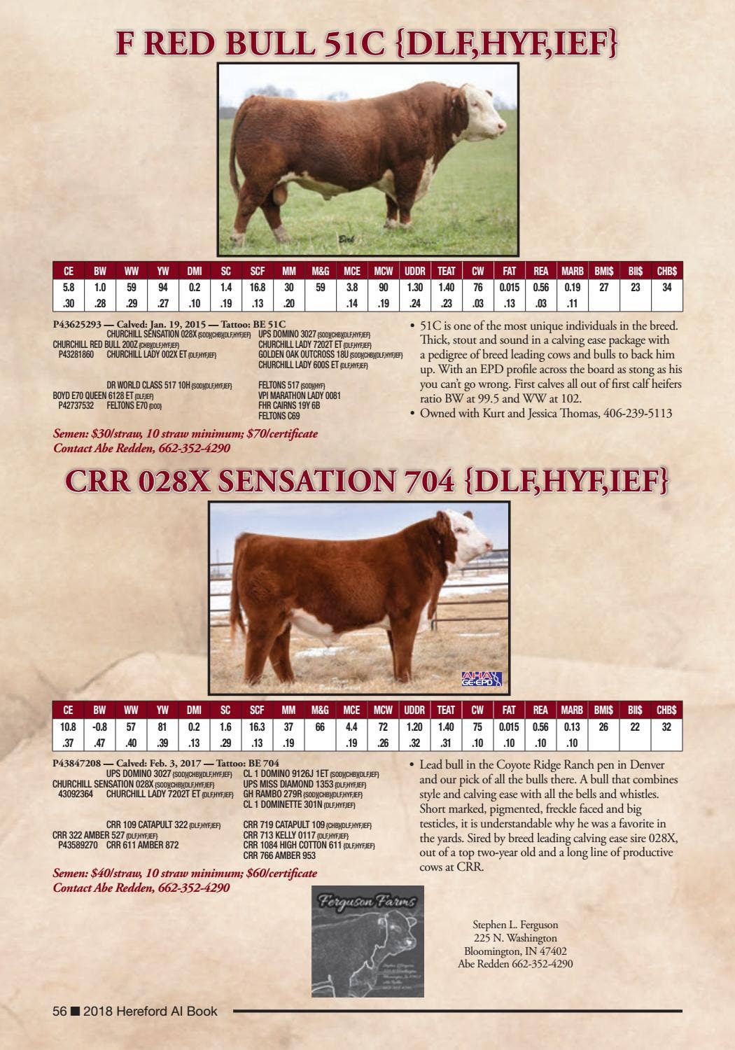 2018 Hereford AI Book by American Hereford Association Issuu