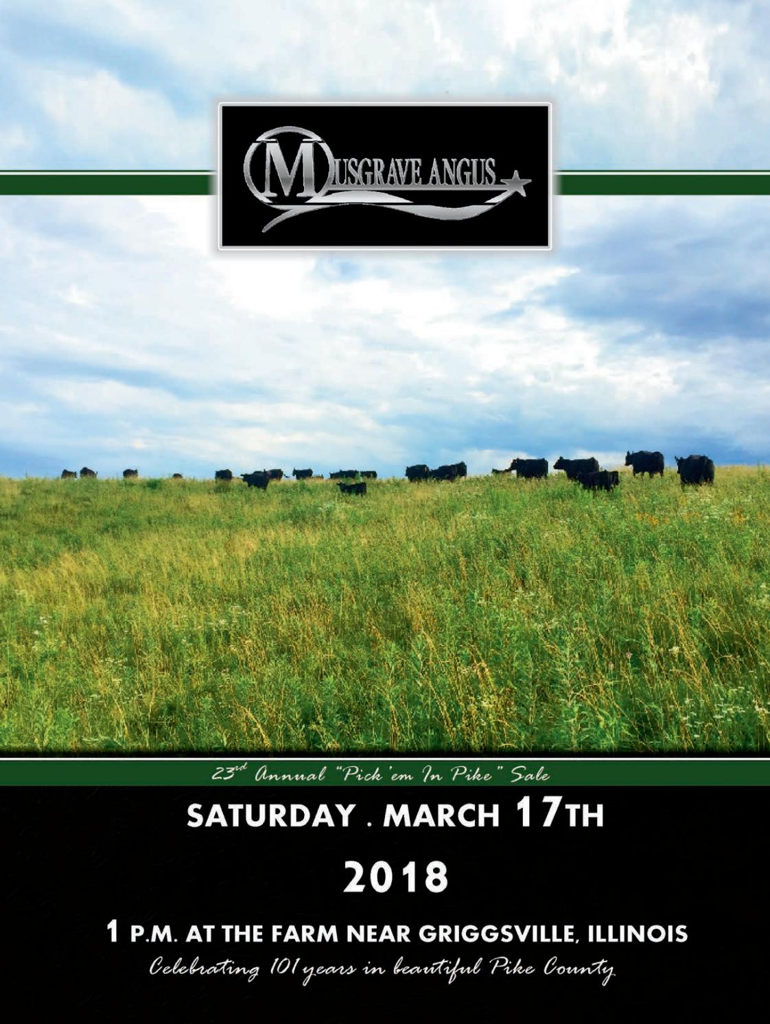 Musgrave Angus 2018 Bull Sale Catalog by LivestockDirect Issuu