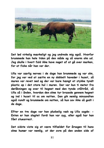 oplevelser med dyr oplevelser med dyr