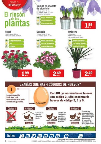 Ofertas Supermercados 家具目录 lidl tu compra perfecta 第 2 页