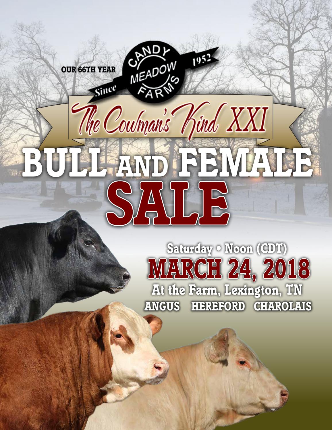 Candy Meadow Farms Bull & Female Sale by American Hereford Association