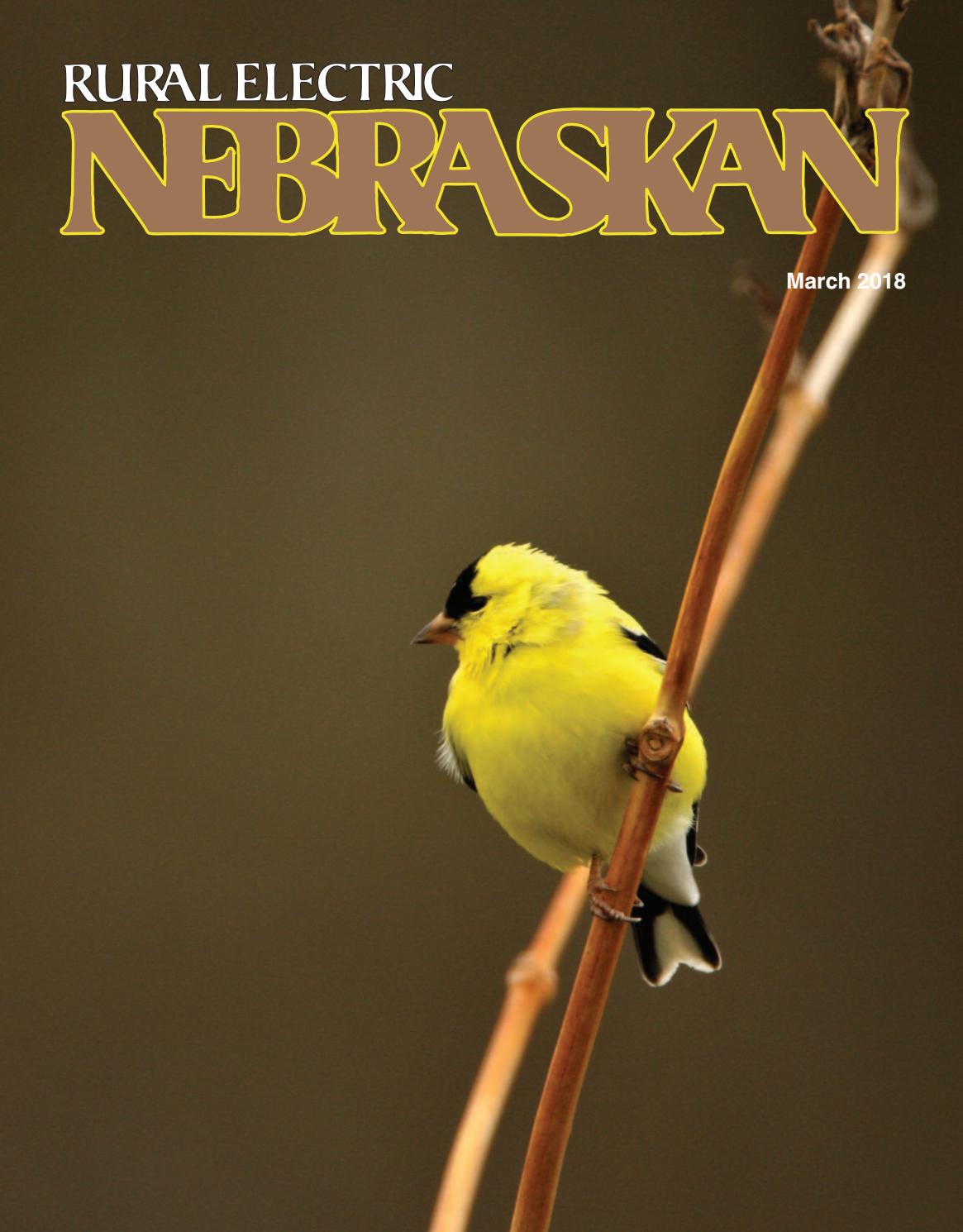 Rural Electric Nebraskan 03/18 by Nebraska Rural Electric Association