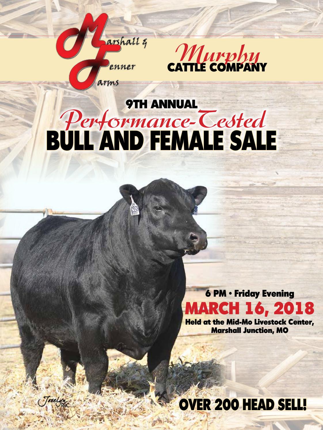2018 Murphy Cattle Company Sale Catalog by Ranch House Designs Issuu