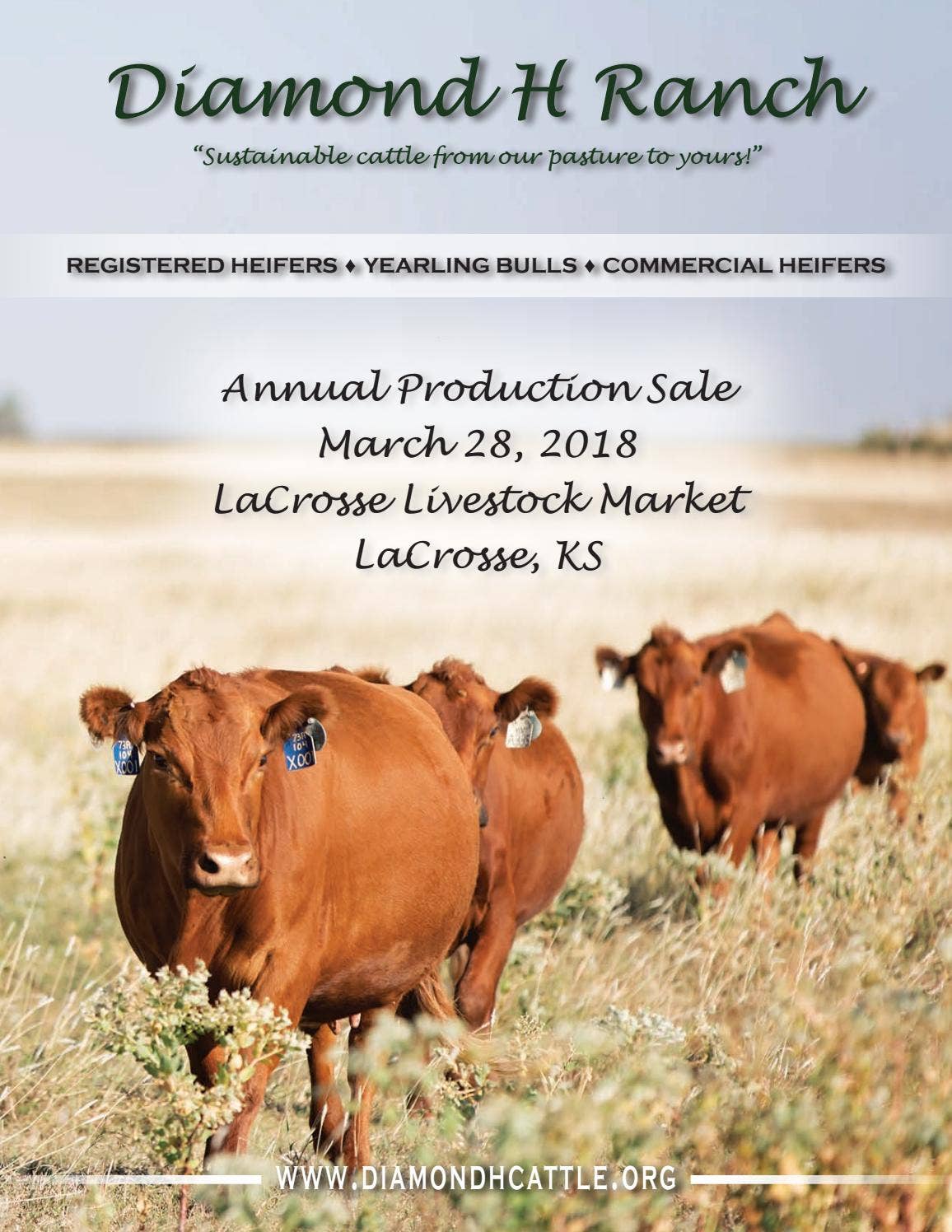 Diamond H Ranch - 2018 Bull Sale Catalog by LivestockDirect - Issuu