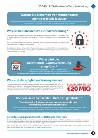 Integral Produktreihe zur 256-Bit AES-Hardware-Verschlüsselung 2018 第 3 页