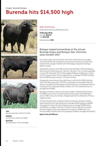 The Australian Brangus Autumn 18 By Rural Design Studio Issuu