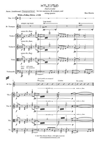 Ben Morris 灯饰目录 · Hylestad 第 5 页