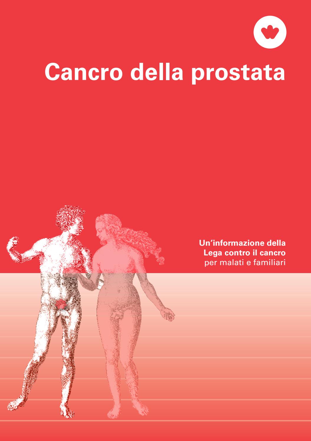 corpo umano organi prostata