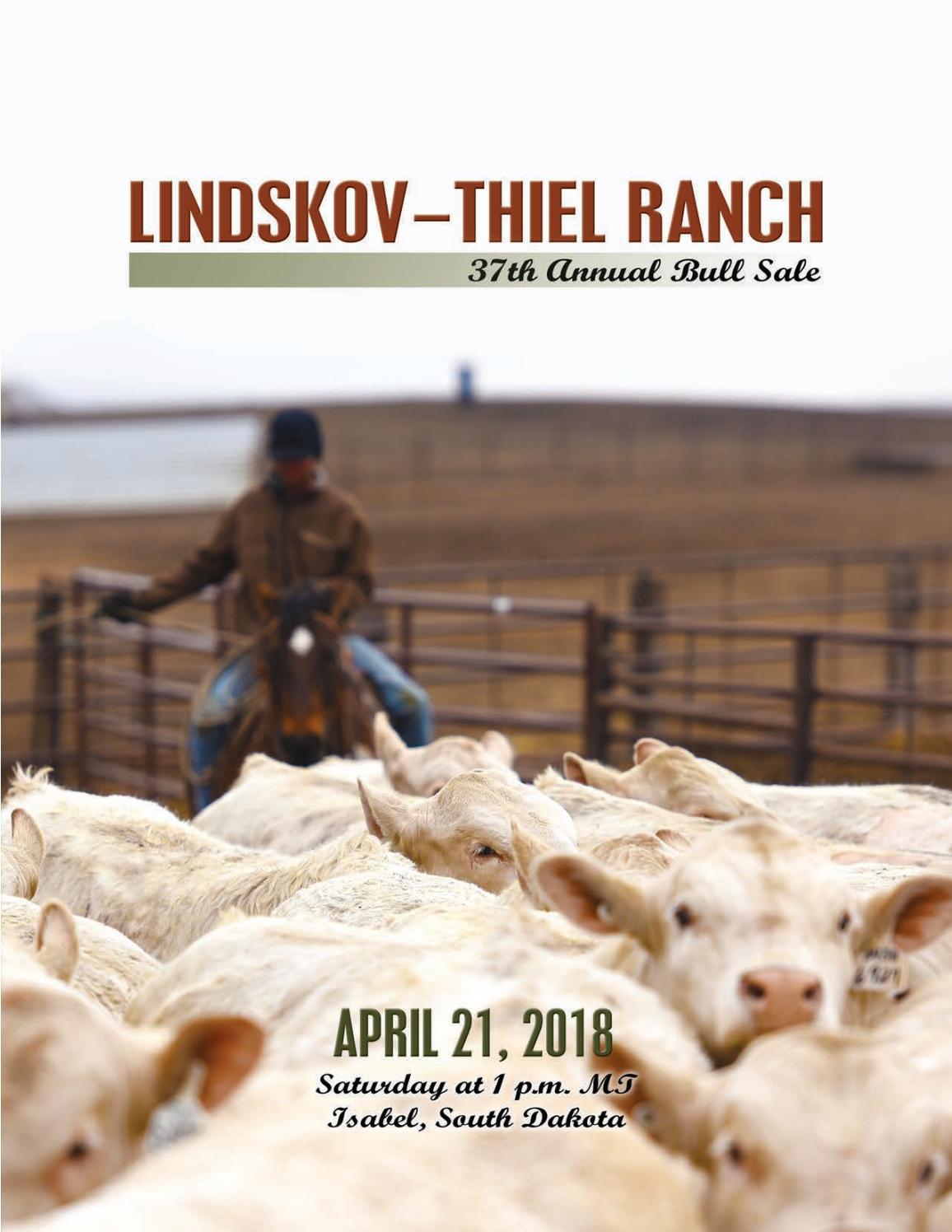 LindskovThiel Ranch 2018 Bull Sale Catalog by LivestockDirect Issuu