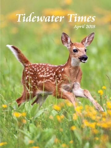 March 2018 ttimes web magazine by Tidewater Times issuu