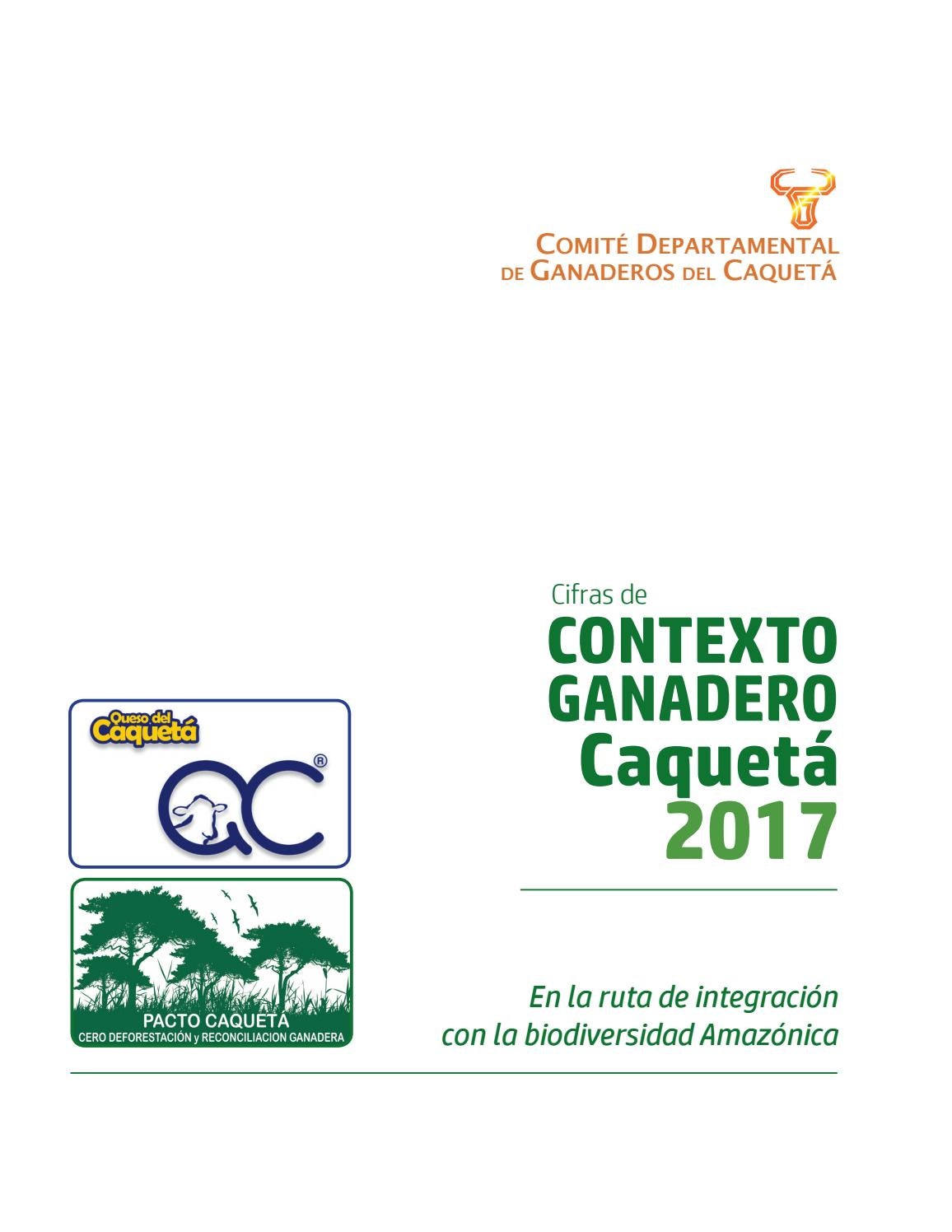 Contexto Ganadero Caqueta 2017 By Rafael Torrijos Issuu