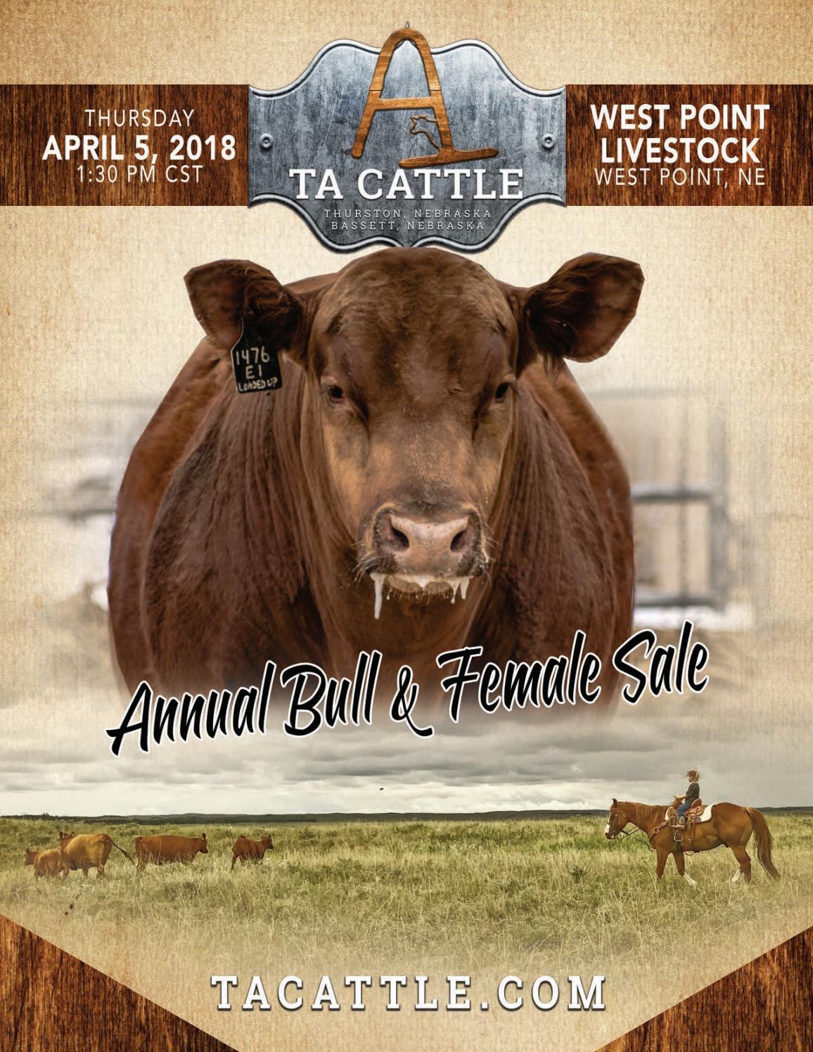TA Cattle 2018 Bull Sale Catalog by LivestockDirect Issuu