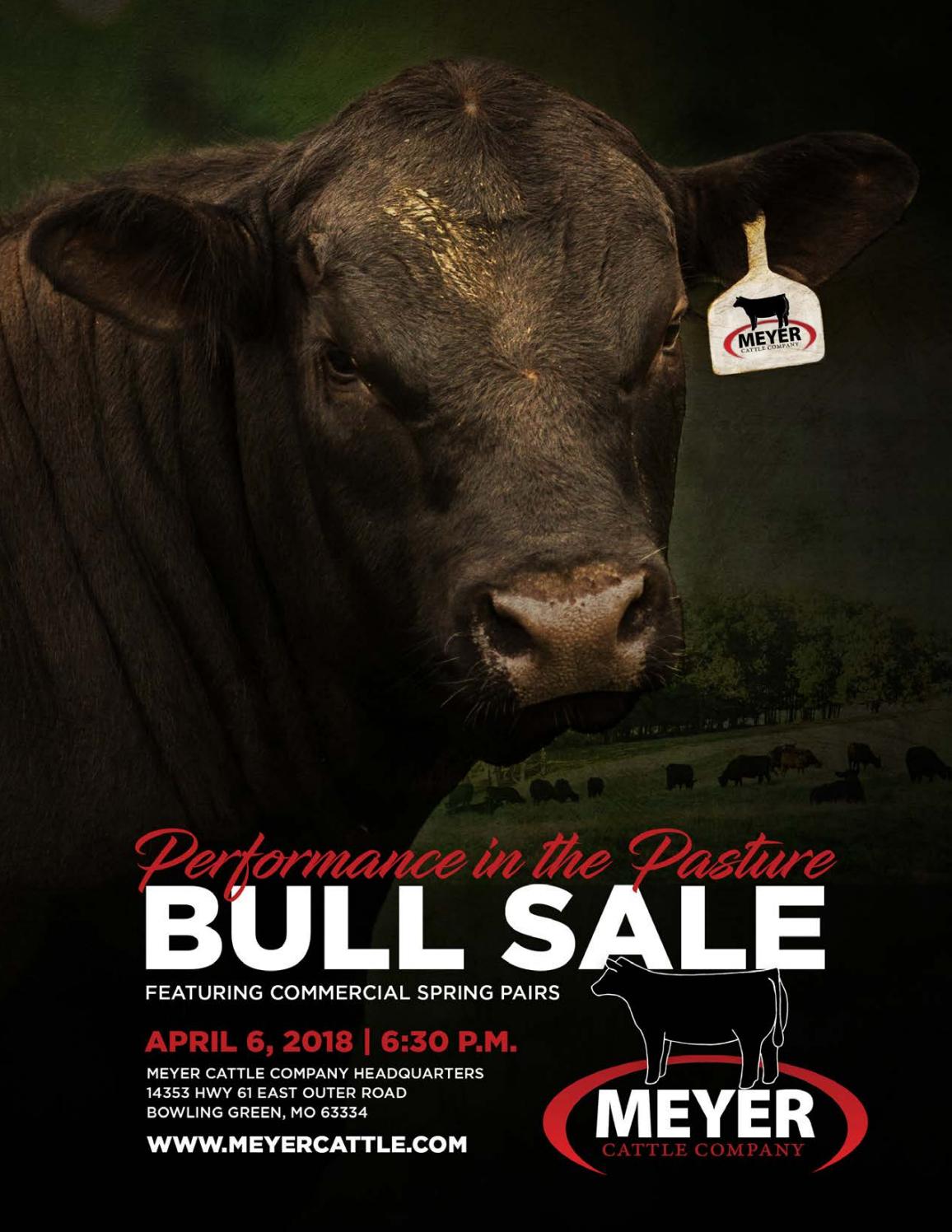 Meyer Cattle Company 2018 Bull Sale Catalog by LivestockDirect Issuu