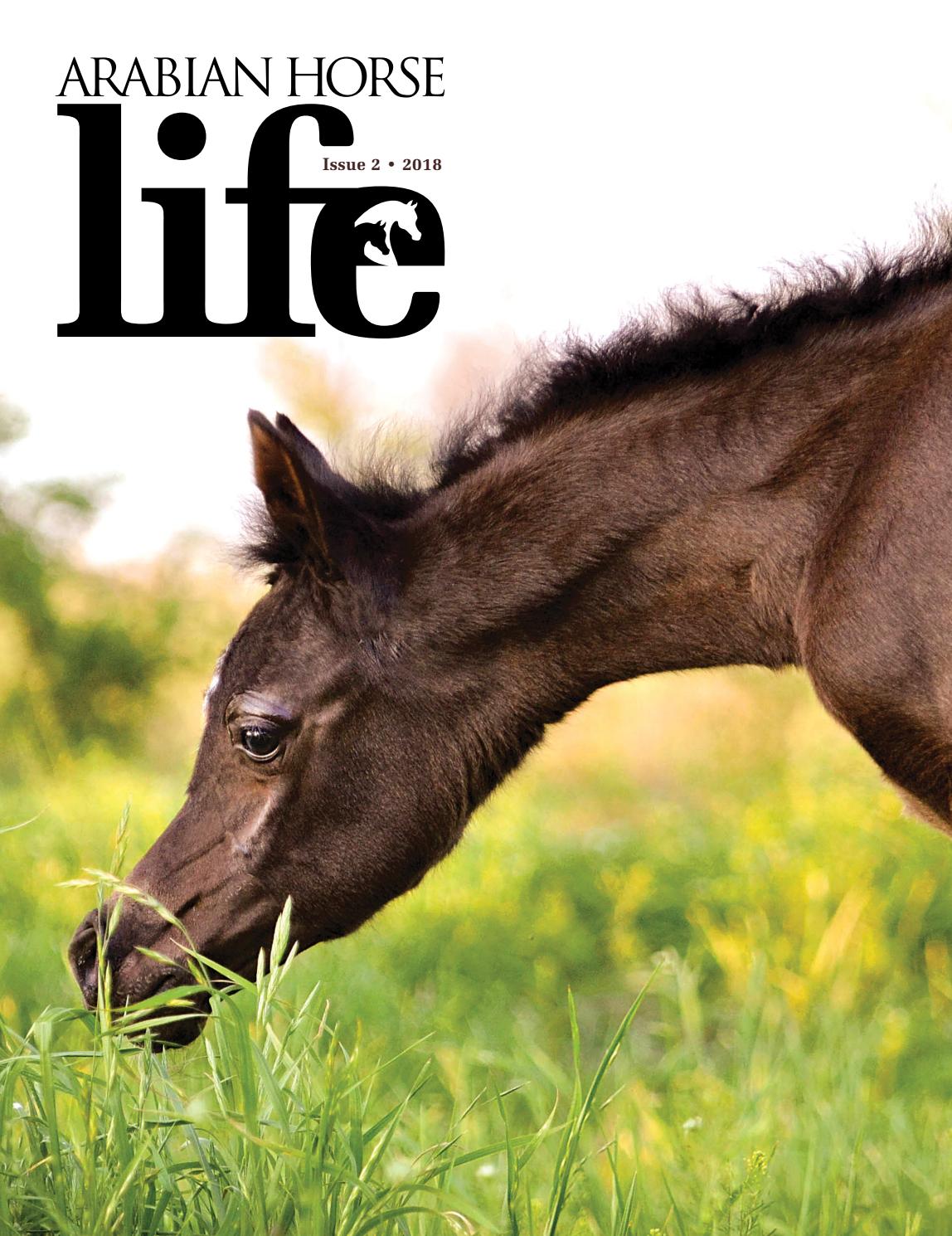 Arabian Horse Life Magazine miniissue 2 2018 by Arabian Horse