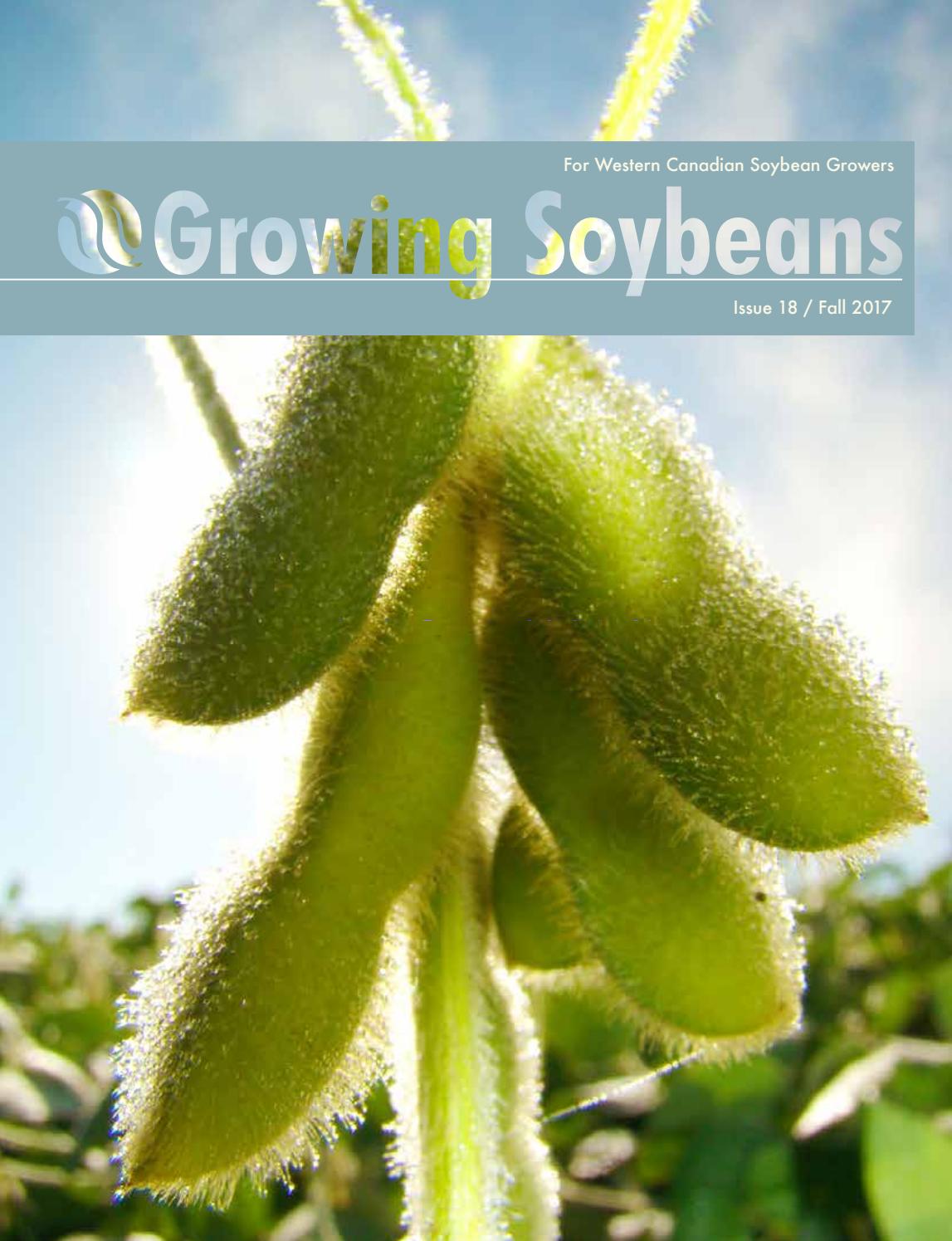 Growing Soybeans Issue 18 20180320mt 3 By Thoughtwell Creative Issuu